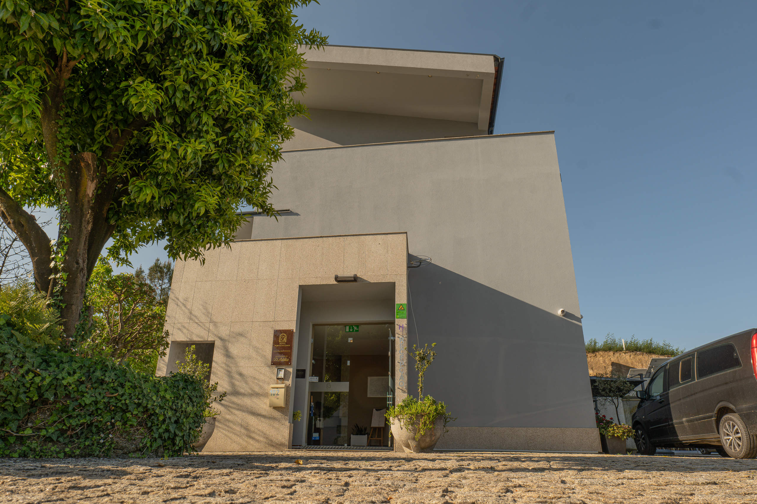 P1173696